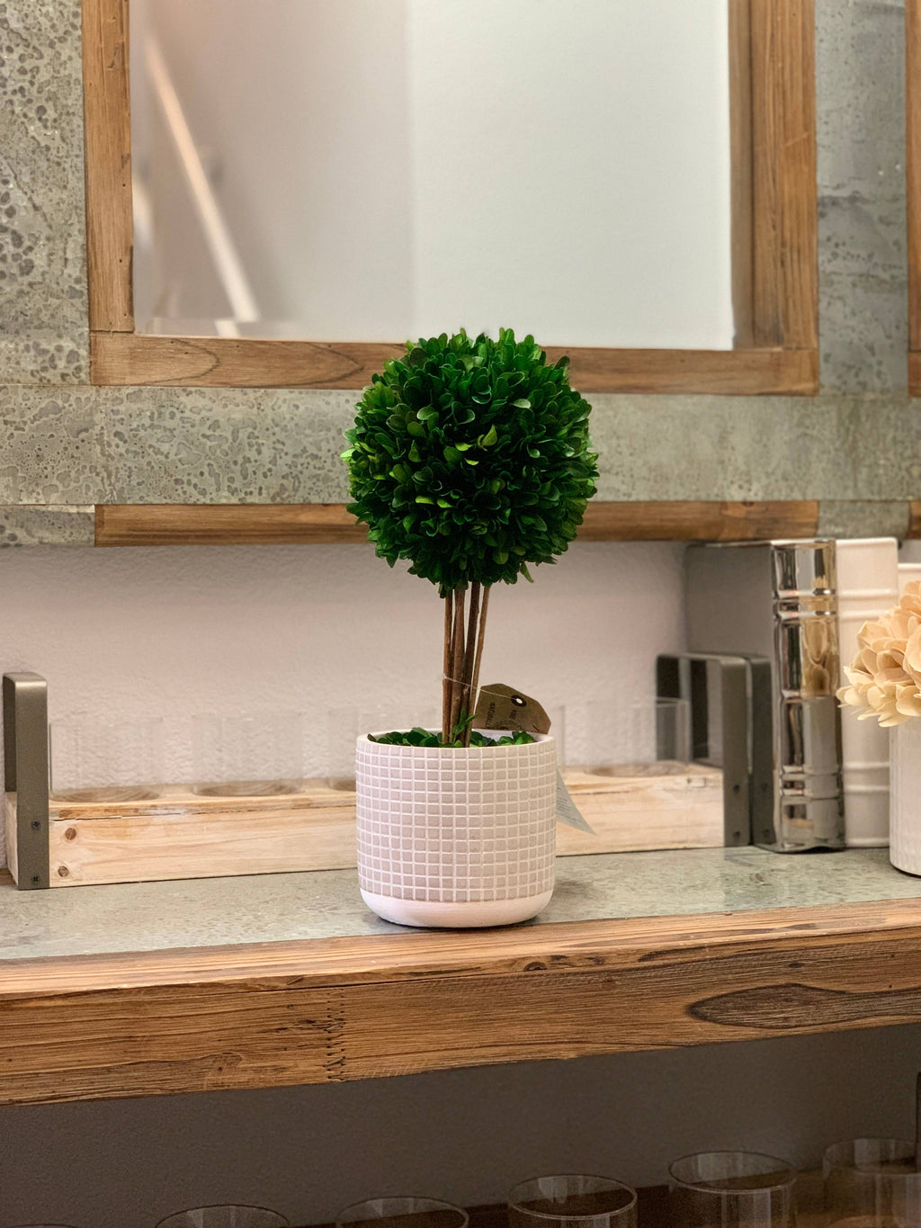 Preserved Boxwood Topiary 14"