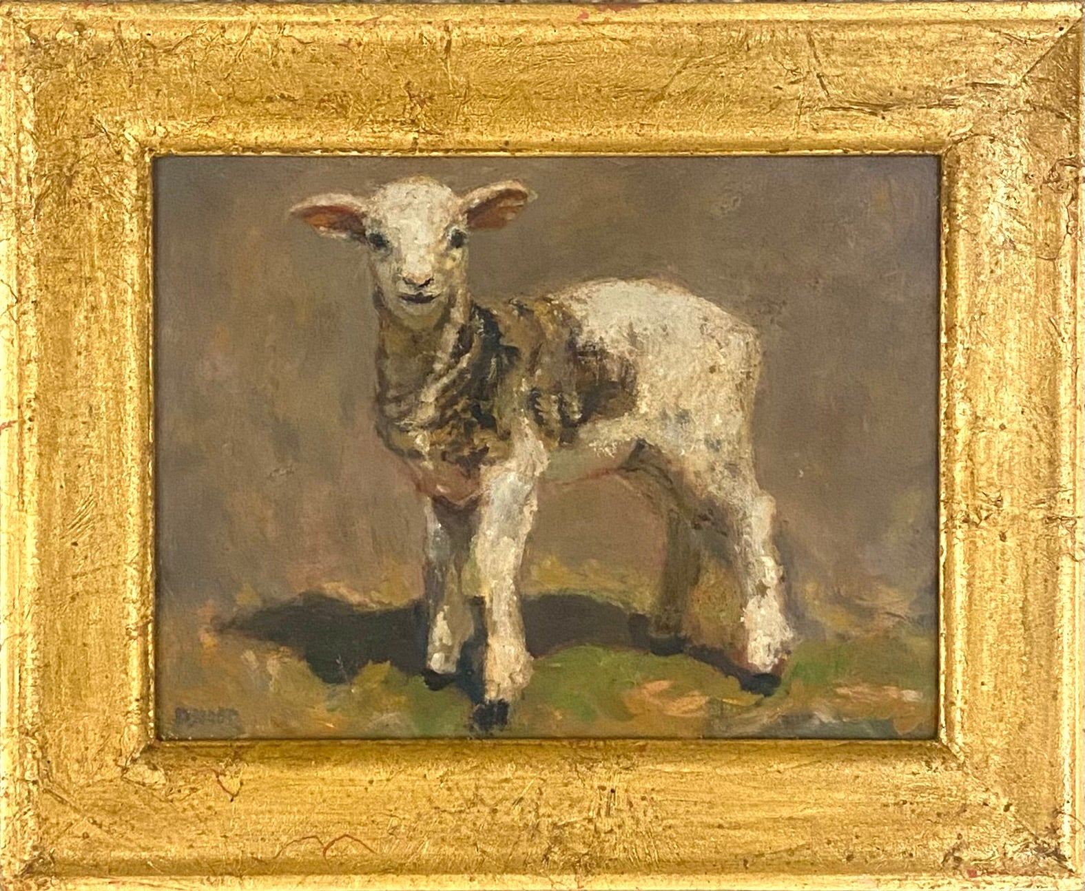 Spy Spotted Lamb