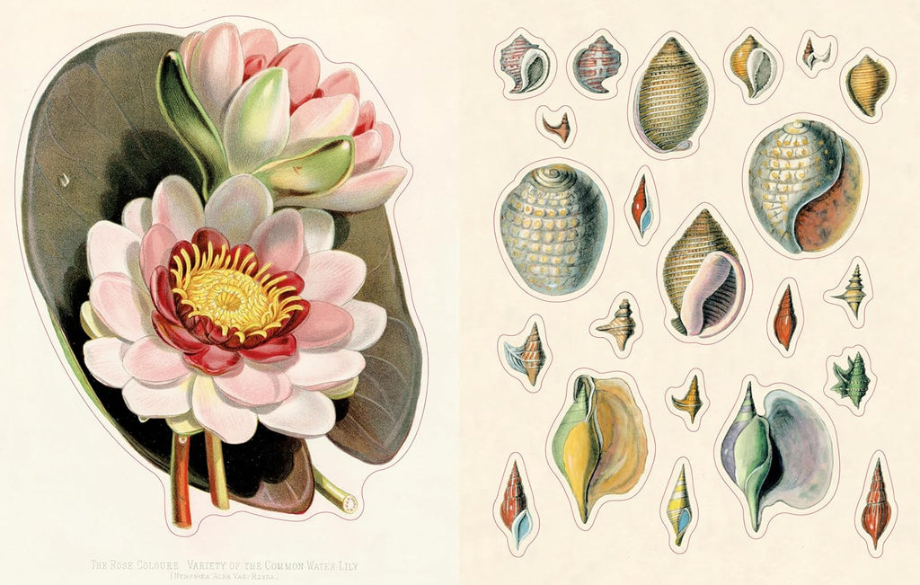 John Derian Sticker Book II