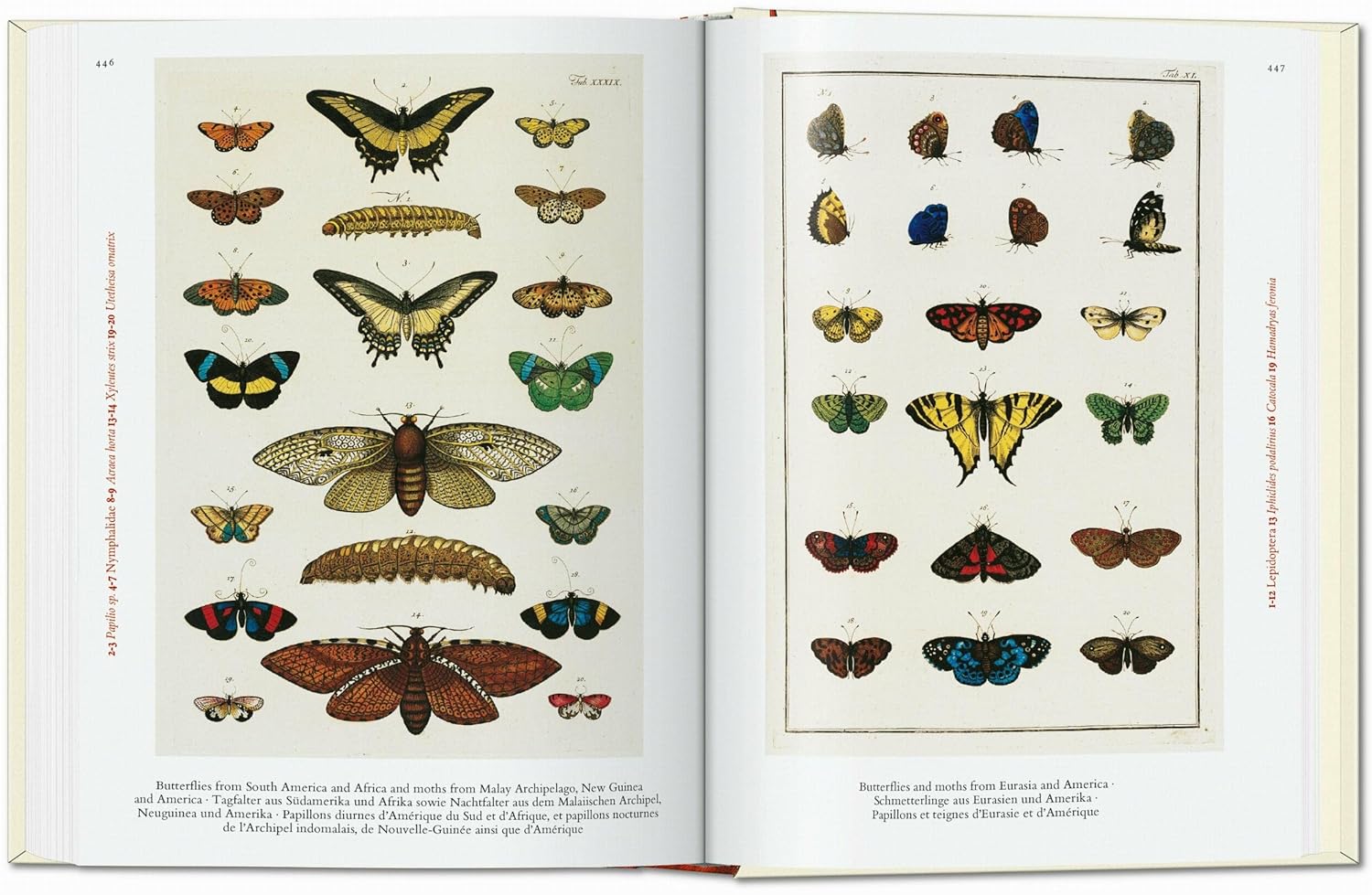 Cabinet of Natural Curiosities