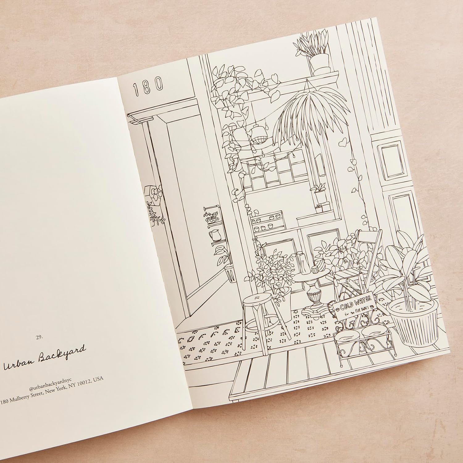 Zoé de Las Cases New York: a collection of beautiful city scenes to colour in