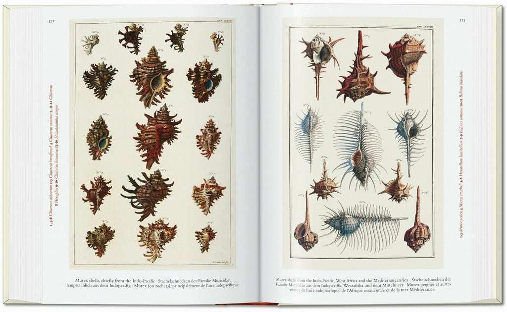 Cabinet of Natural Curiosities