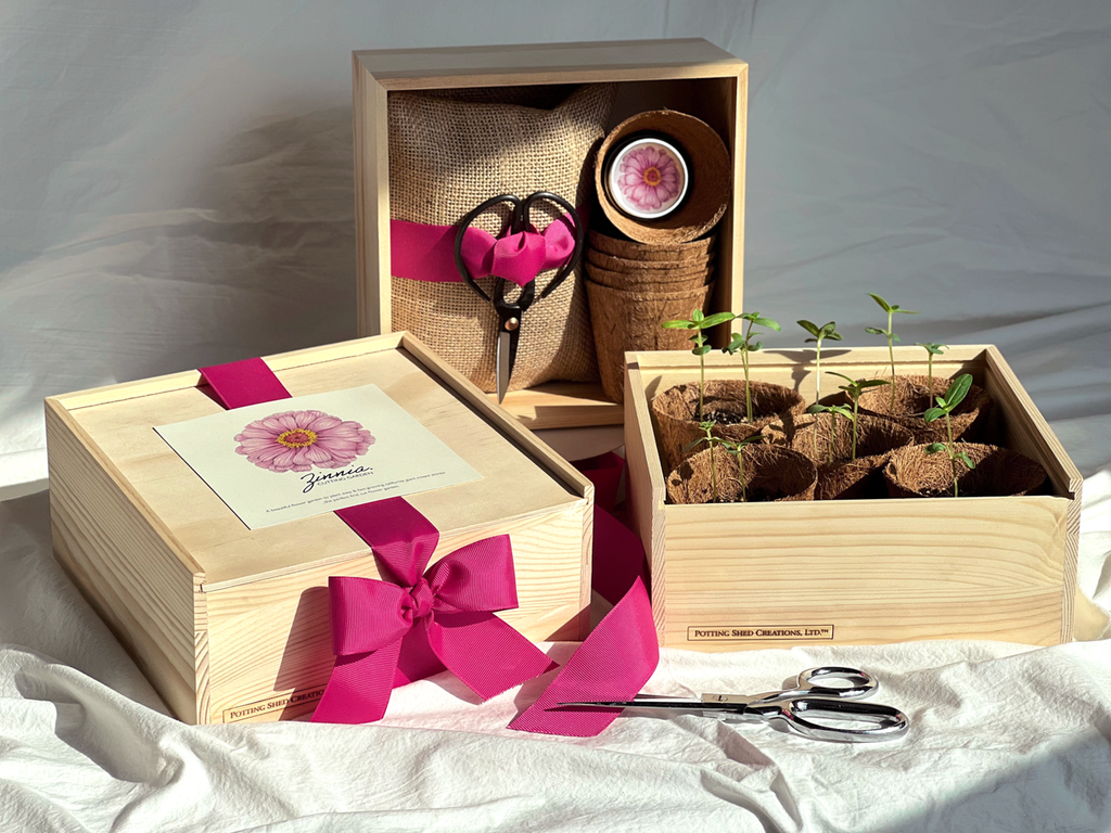Flower Cutting Garden Box