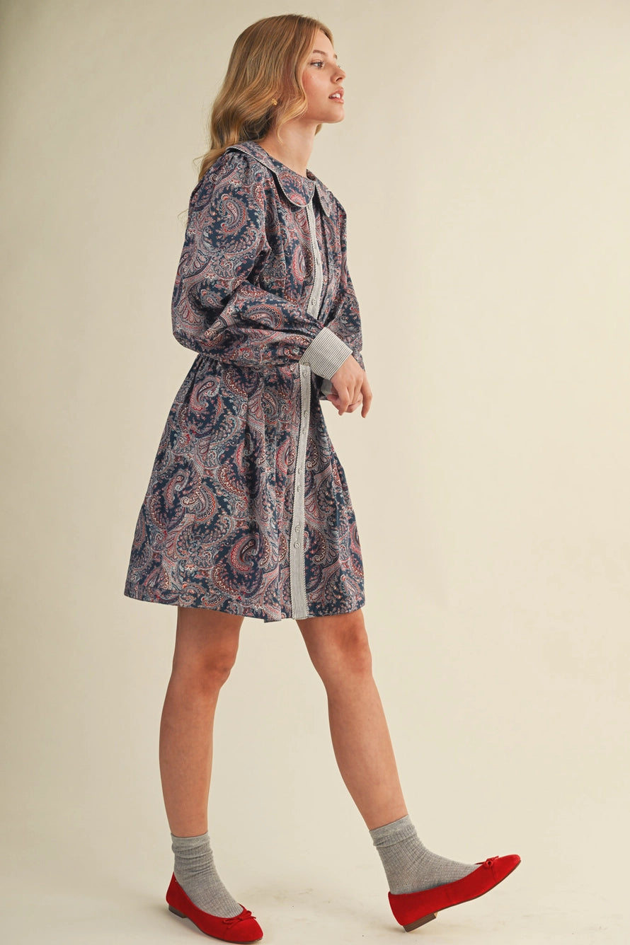 Paisley Pleated Waist Flared Mini Dress