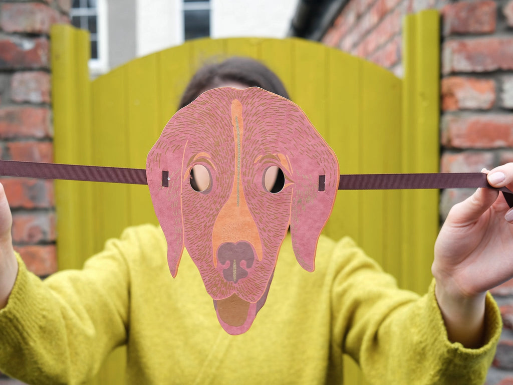 Animals Mask Set