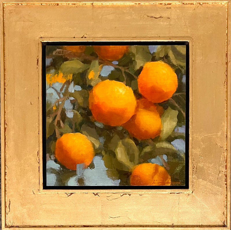 Harvest Light