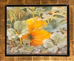 Pumpkin Patch