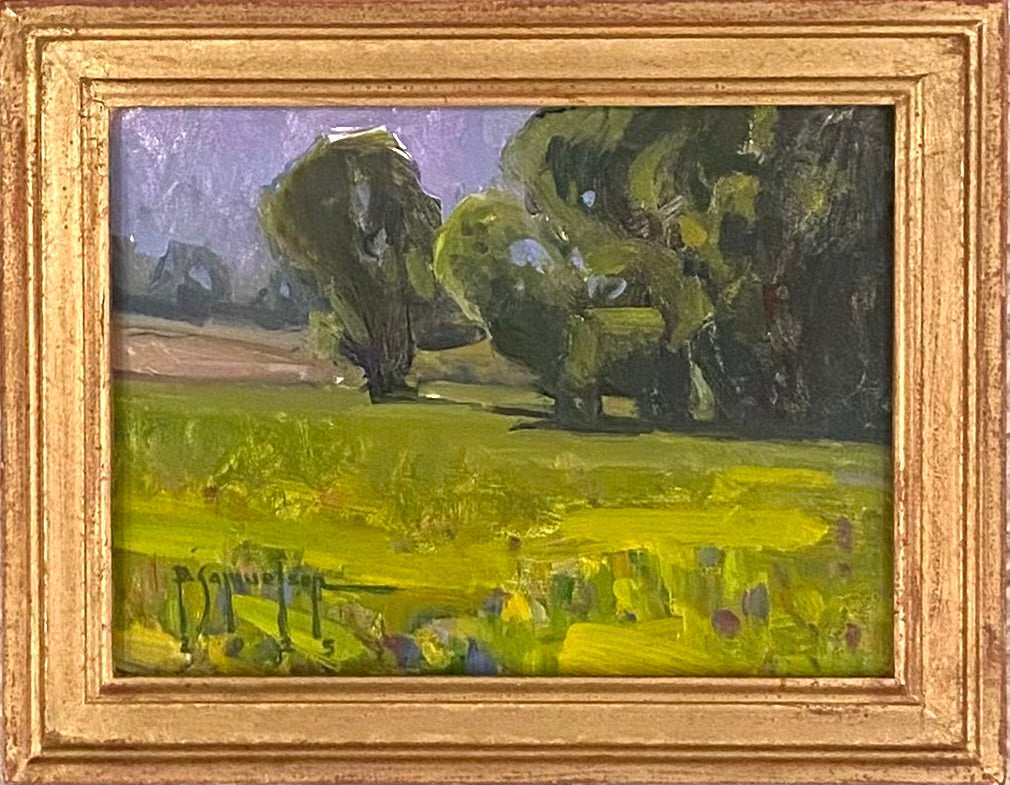 Spring Time at Alligator Park