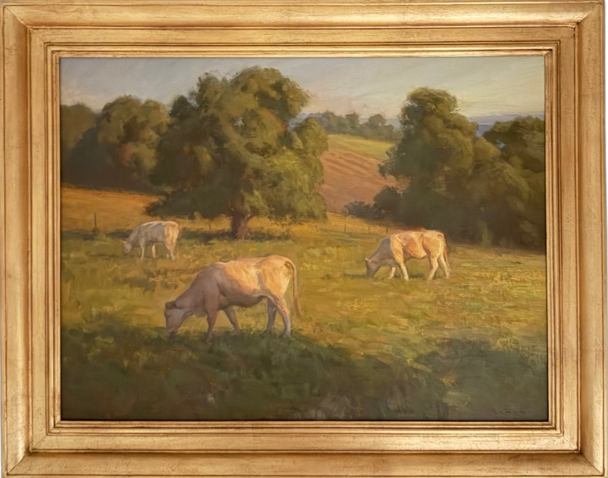 Sunset Grazing
