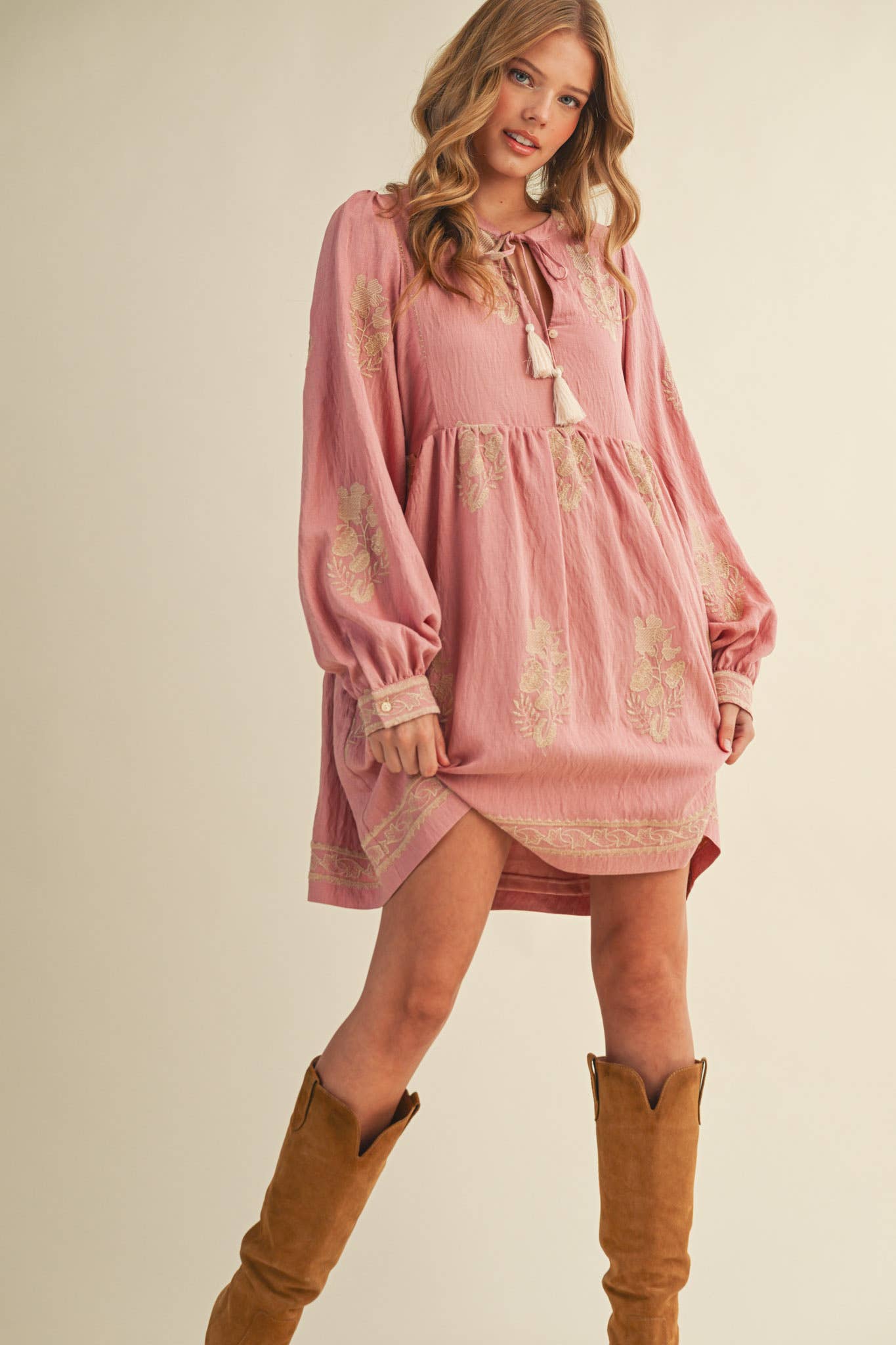 Embroidered Long Puff Sleeve Mini Dress