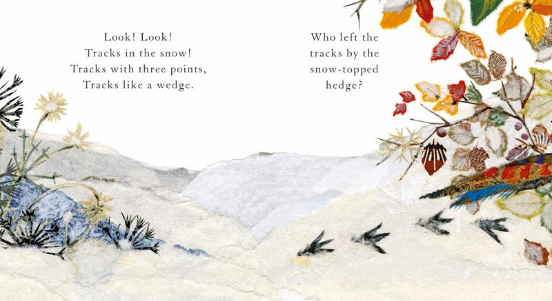 Whose Tracks in the Snow?
By Alexandra Milton