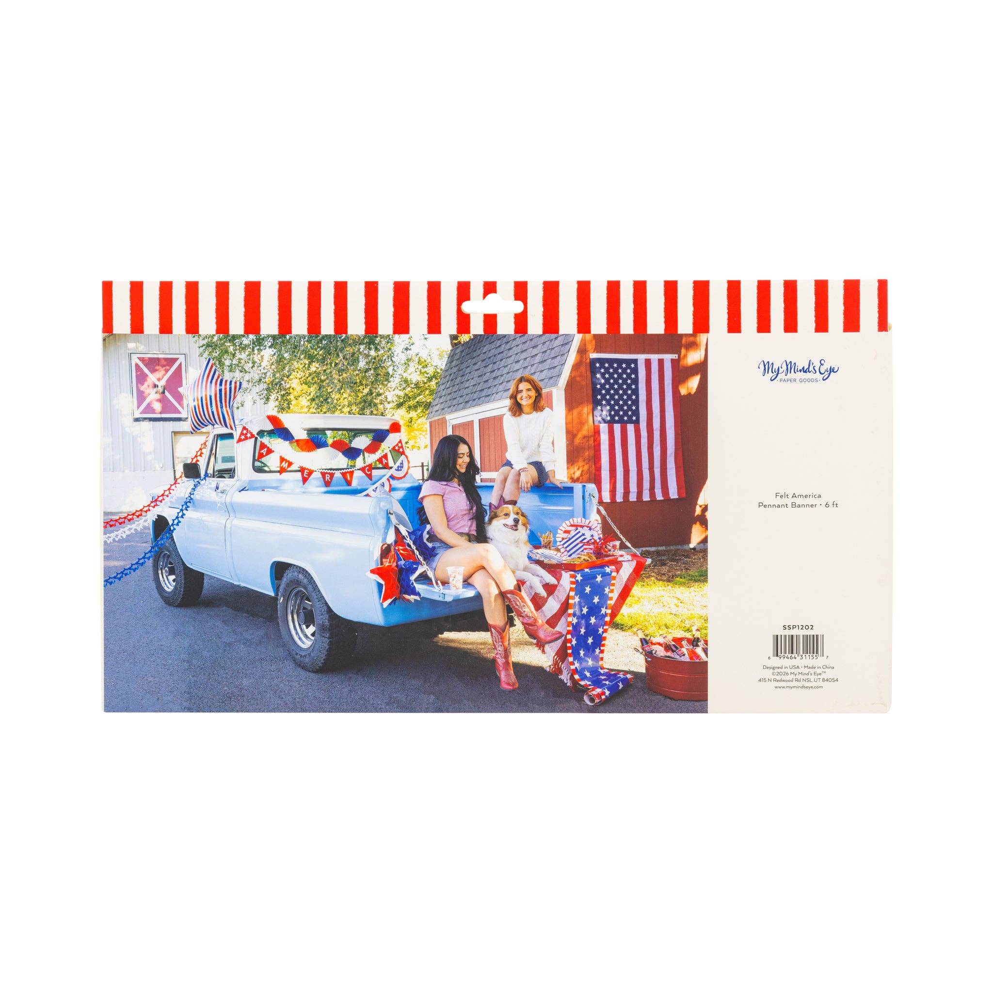 America Felt Pennant Banner