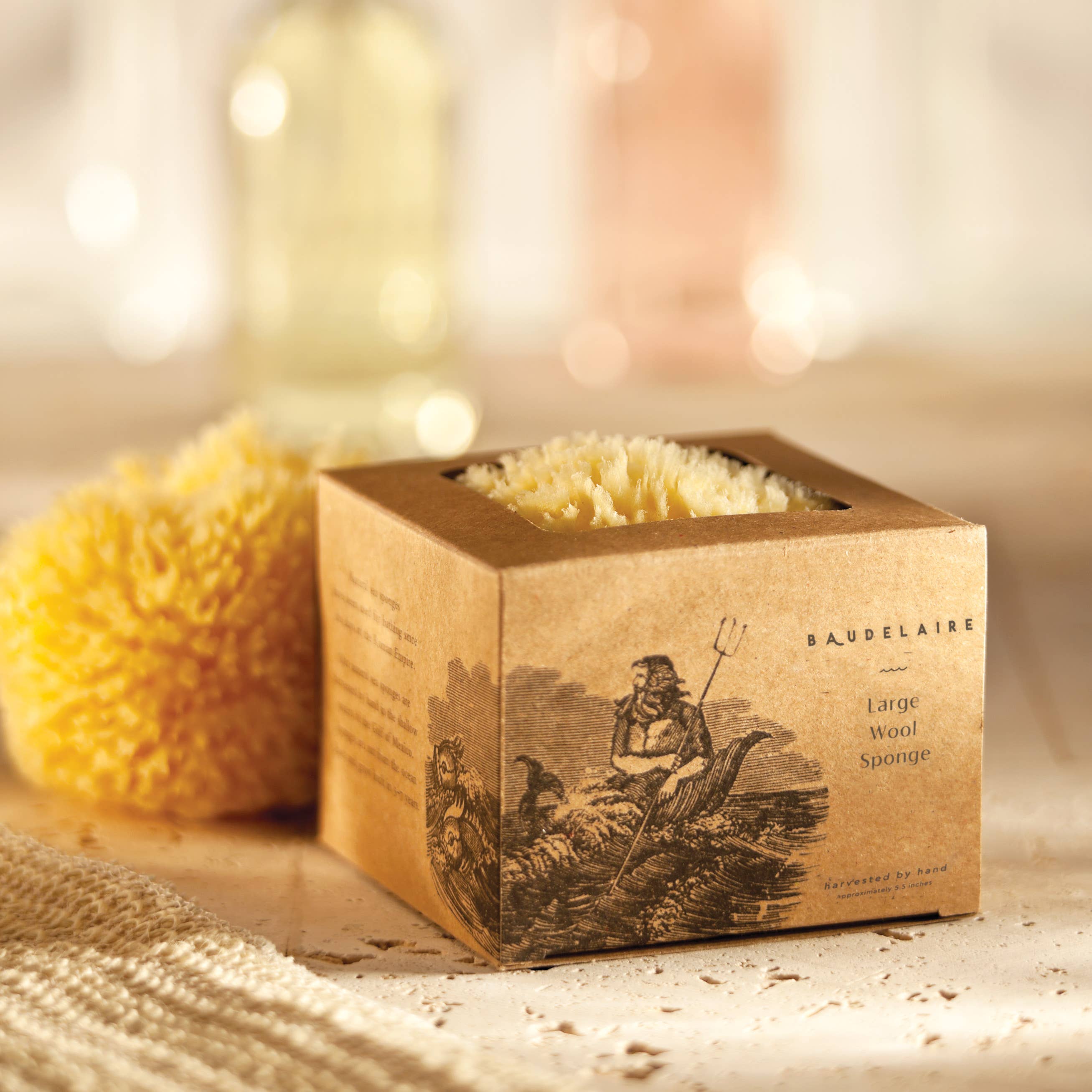 Bath Sea Sponge Gift Box