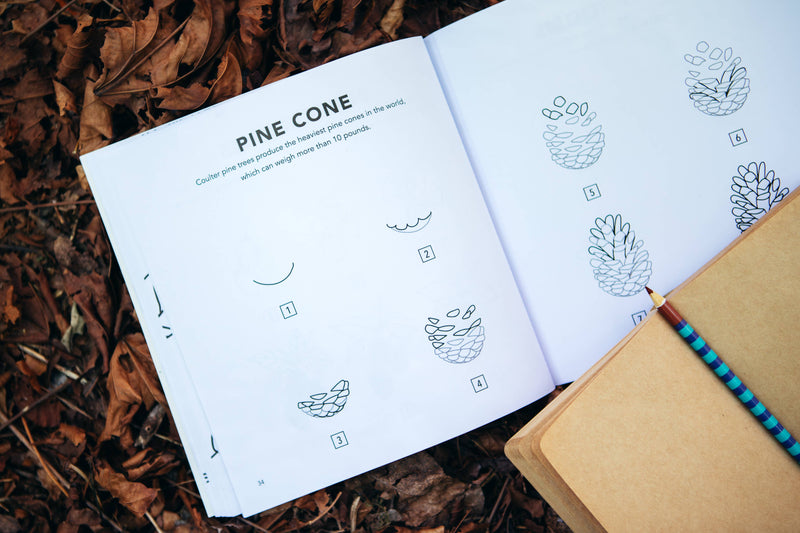 Fall Things: How to Draw Books for Kids