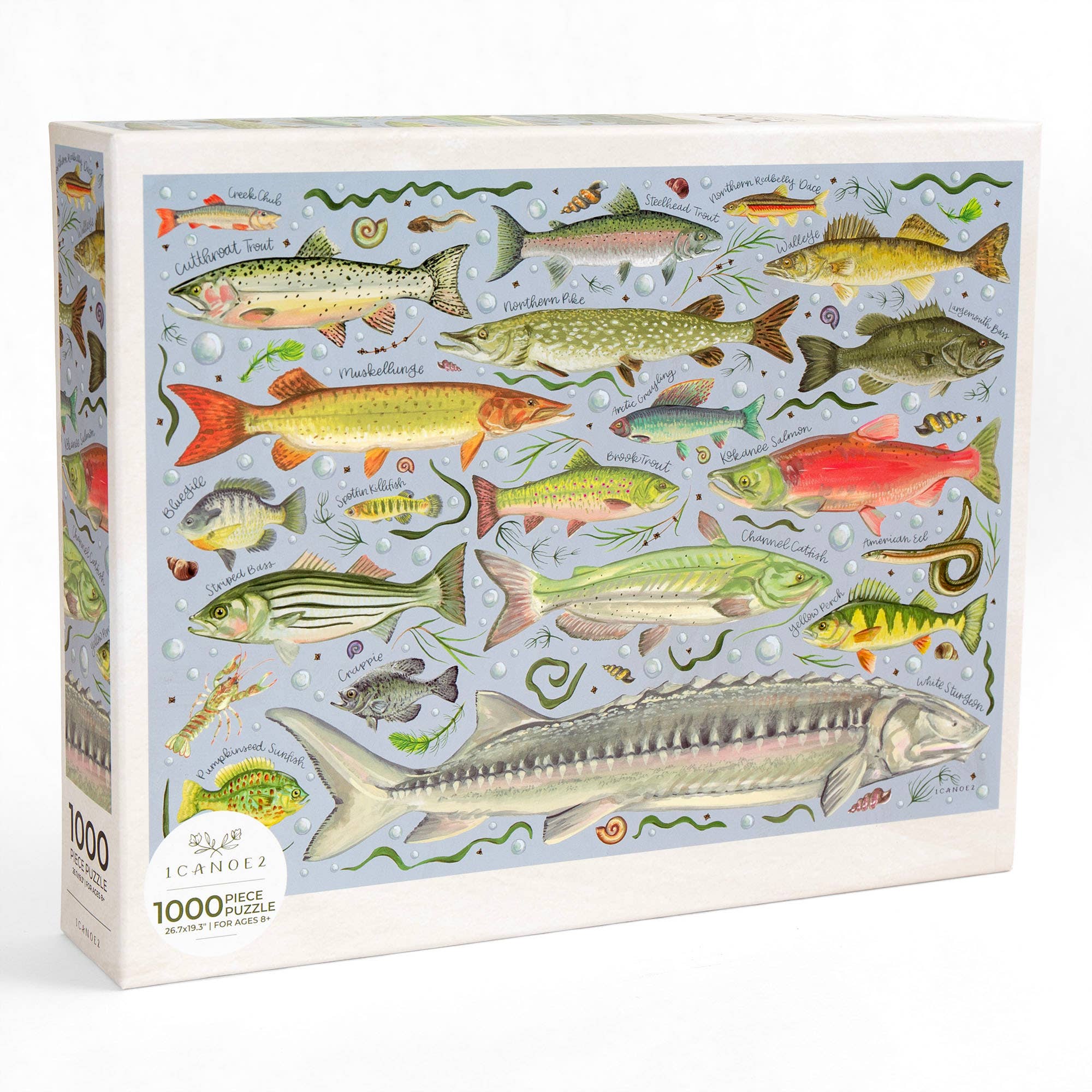 Freshwater Fish Jigsaw Puzzle