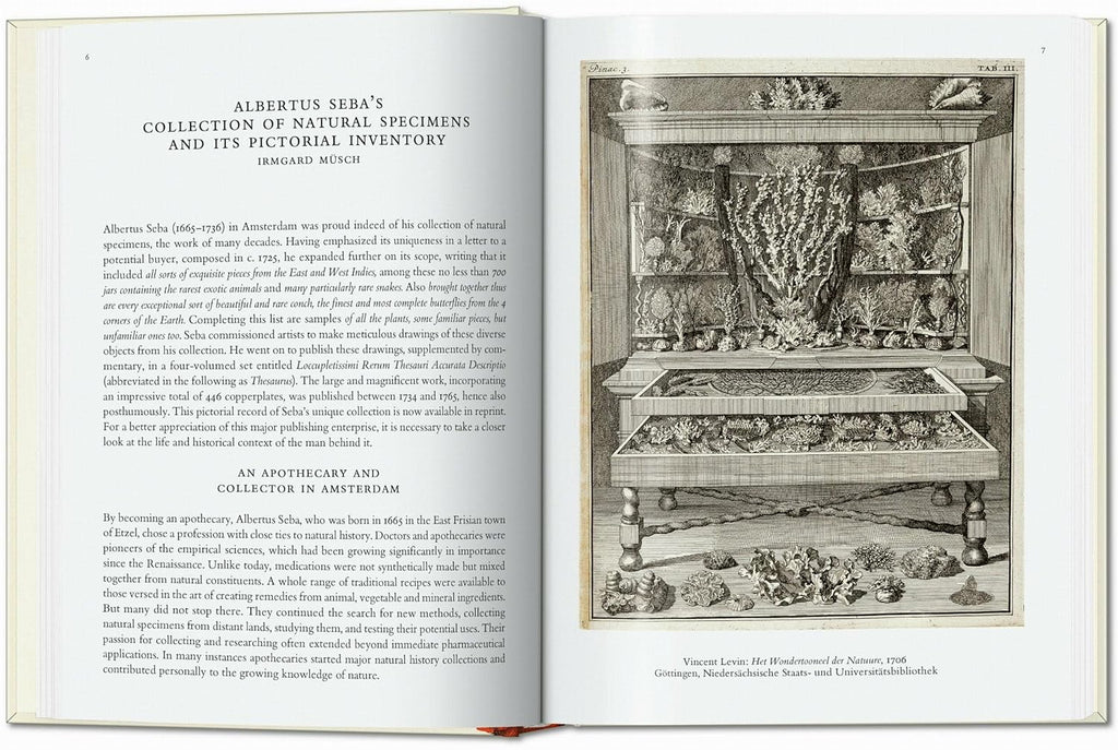 Cabinet of Natural Curiosities