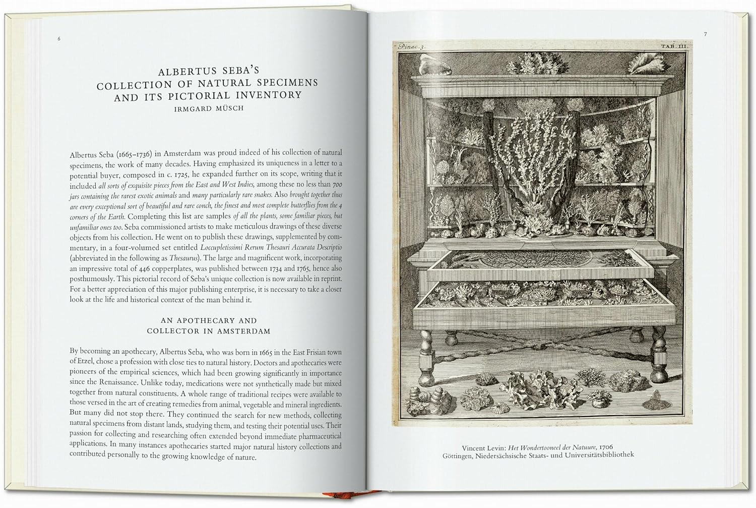 Cabinet of Natural Curiosities