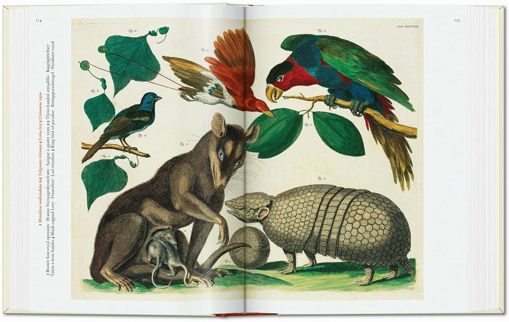 Cabinet of Natural Curiosities