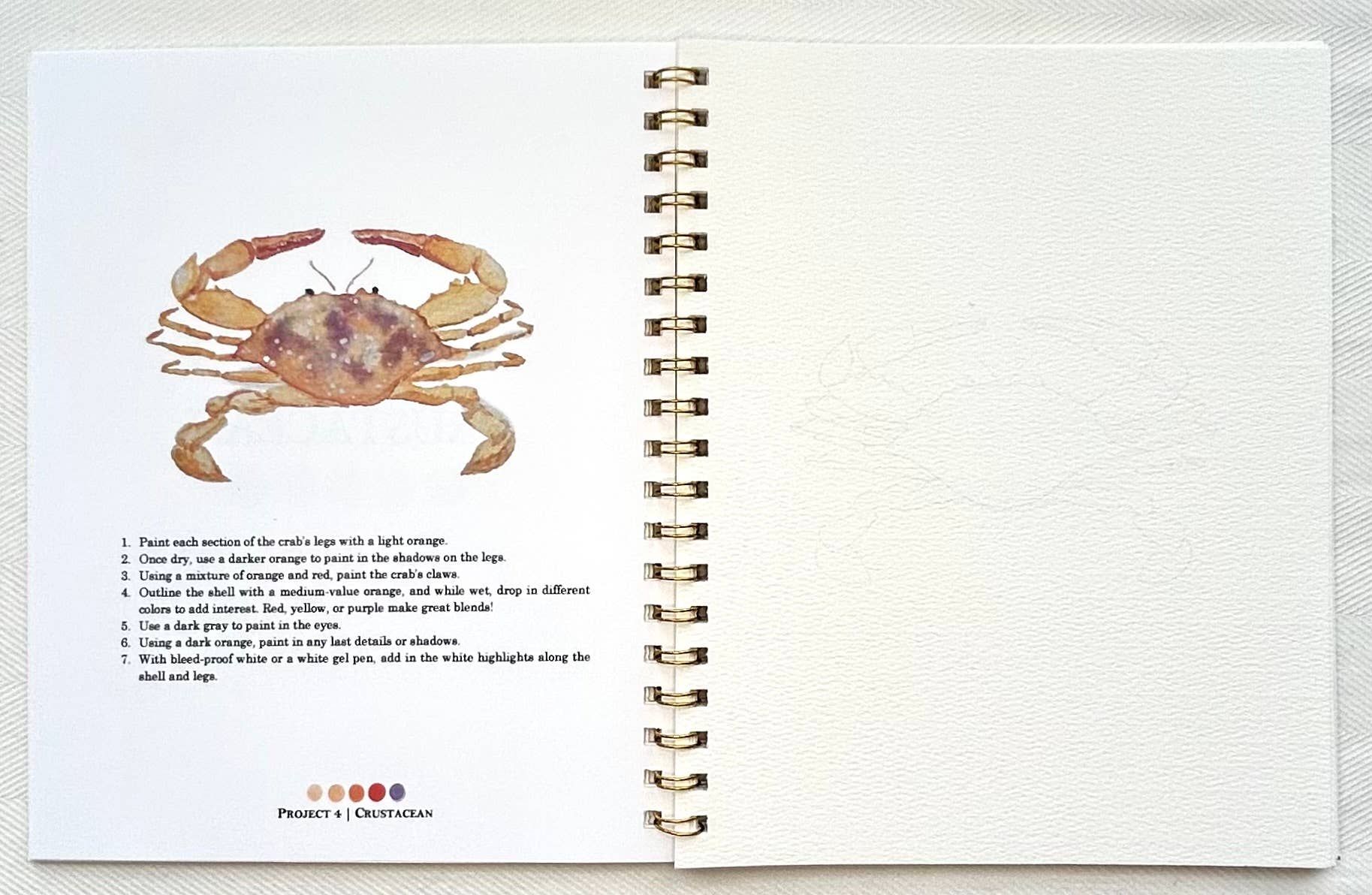 By The Sea Watercolor Workbook