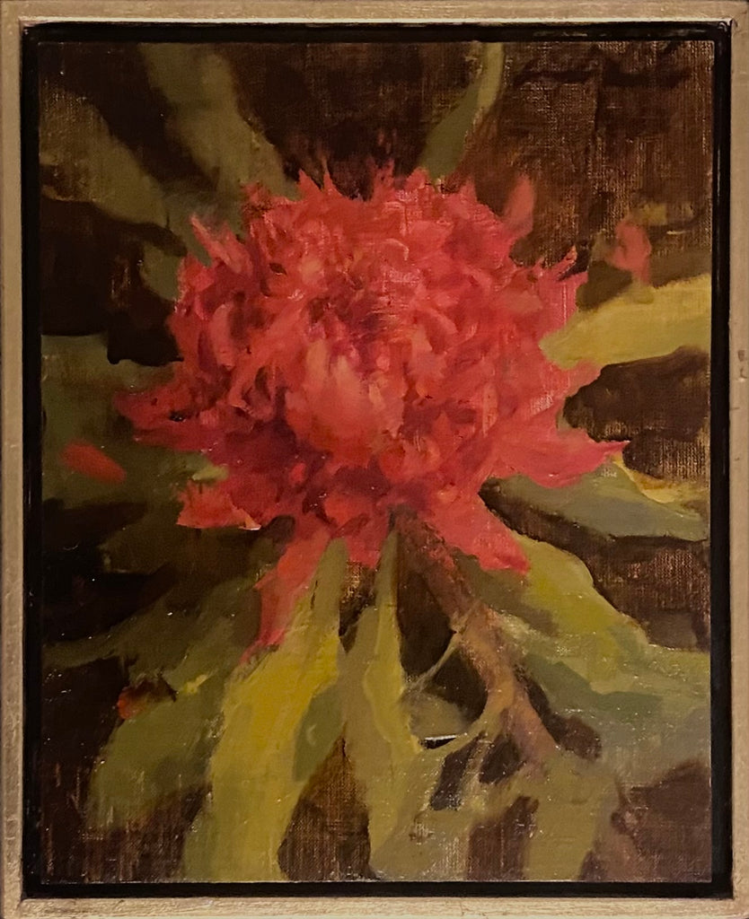 Protea Pop
