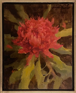 Protea Pop