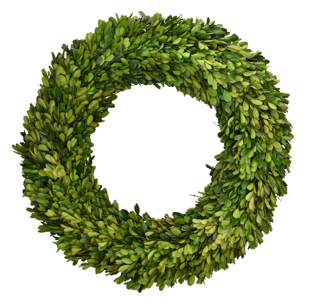 Preserved Boxwood  Wreath