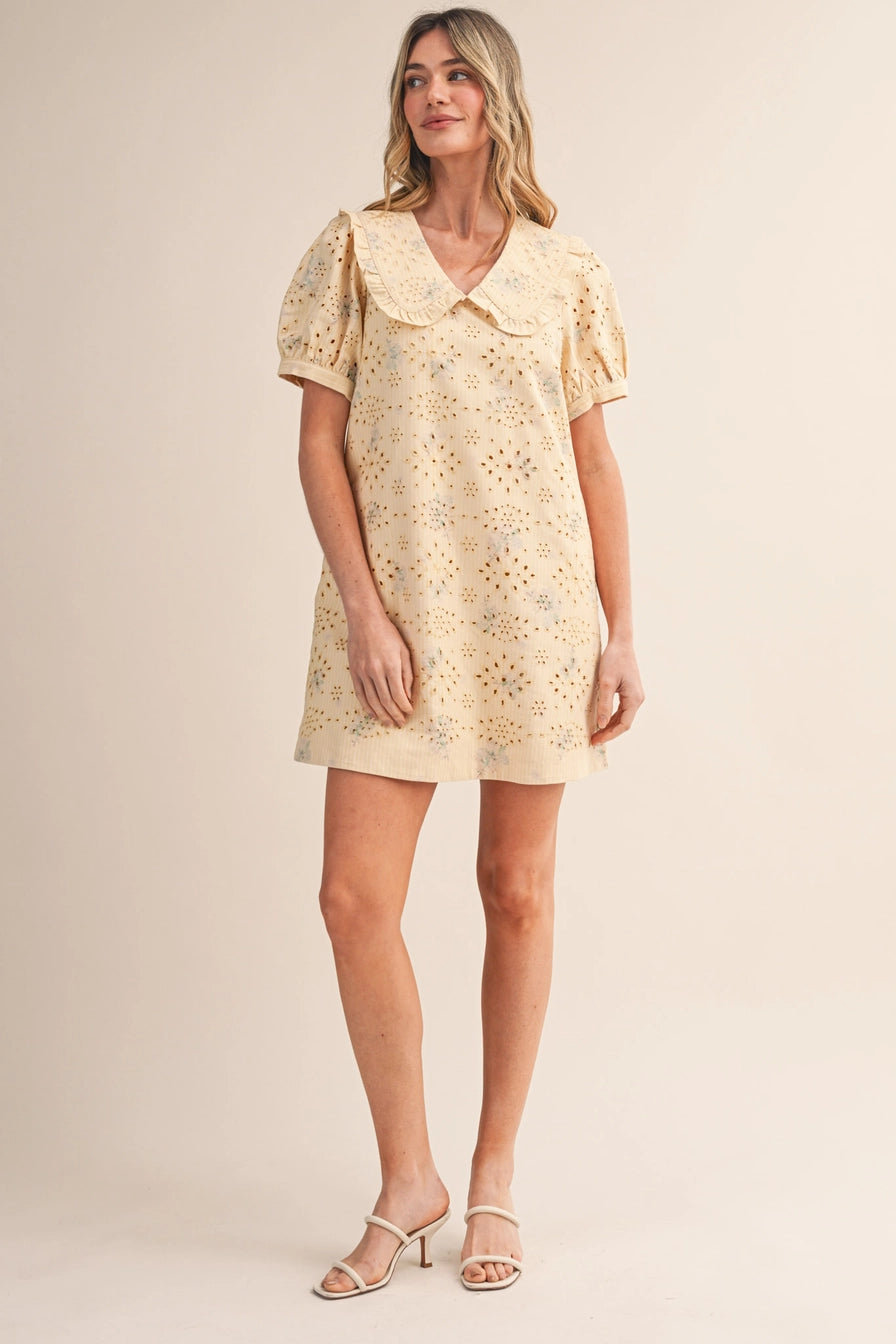 Floral Eyelet Striped Mini Dress