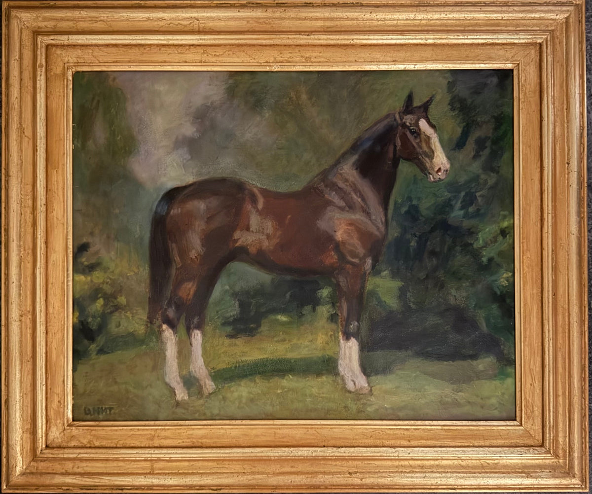 Dark Chestnut Dream