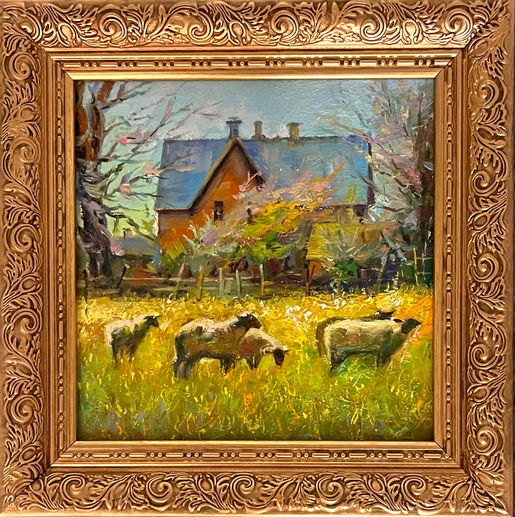 Field of Sheep
