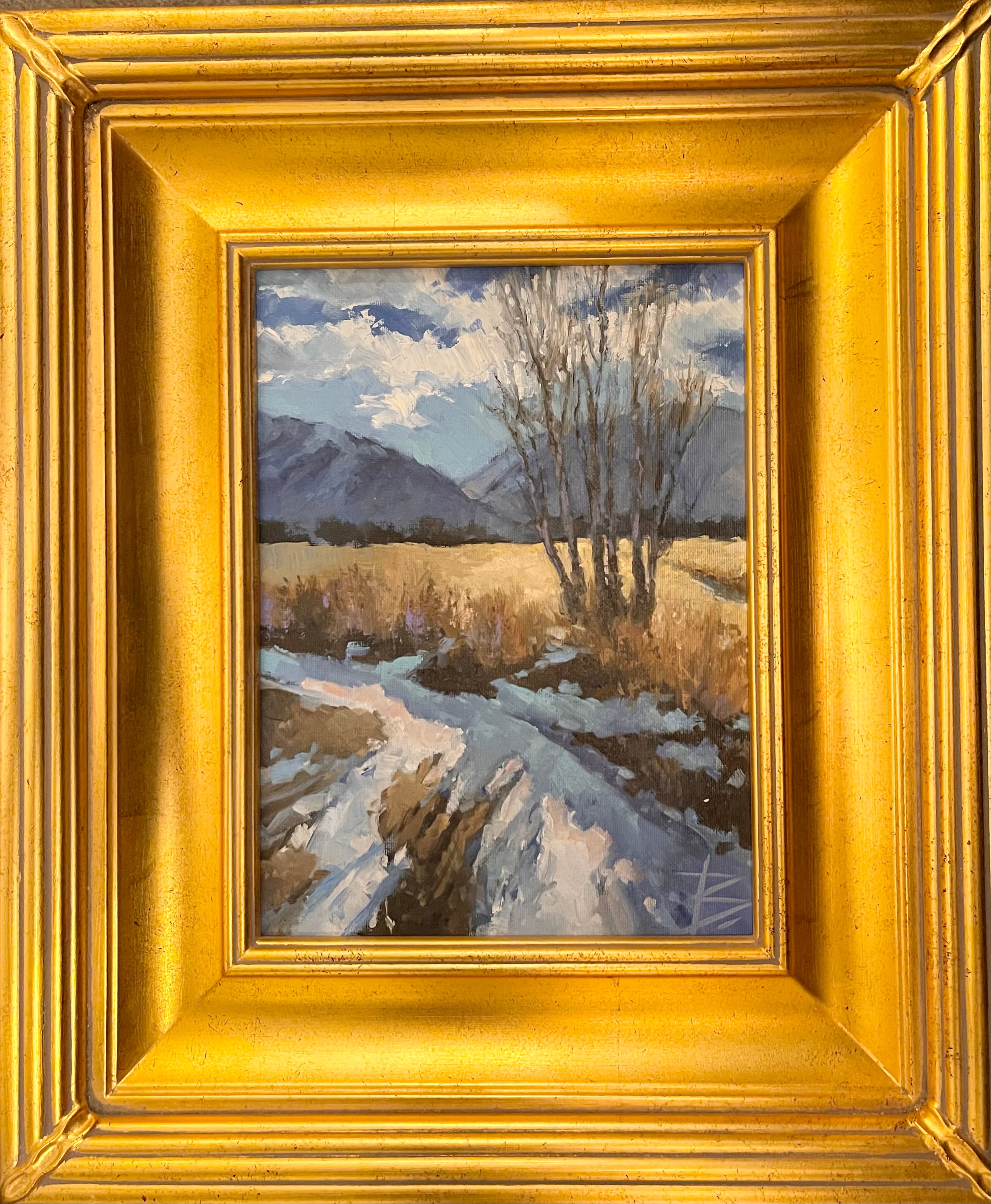 Along a Morning Walk