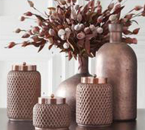 Yellow & Green Sleepy Silene Eva Bush