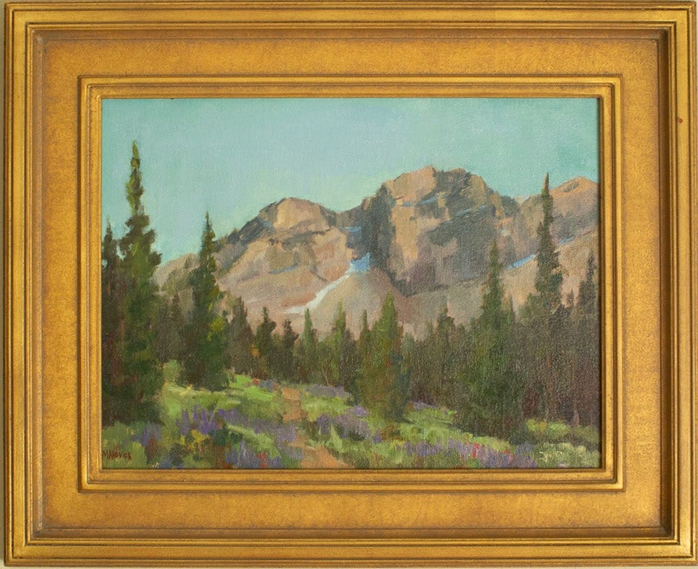 Albion Basin Lupine