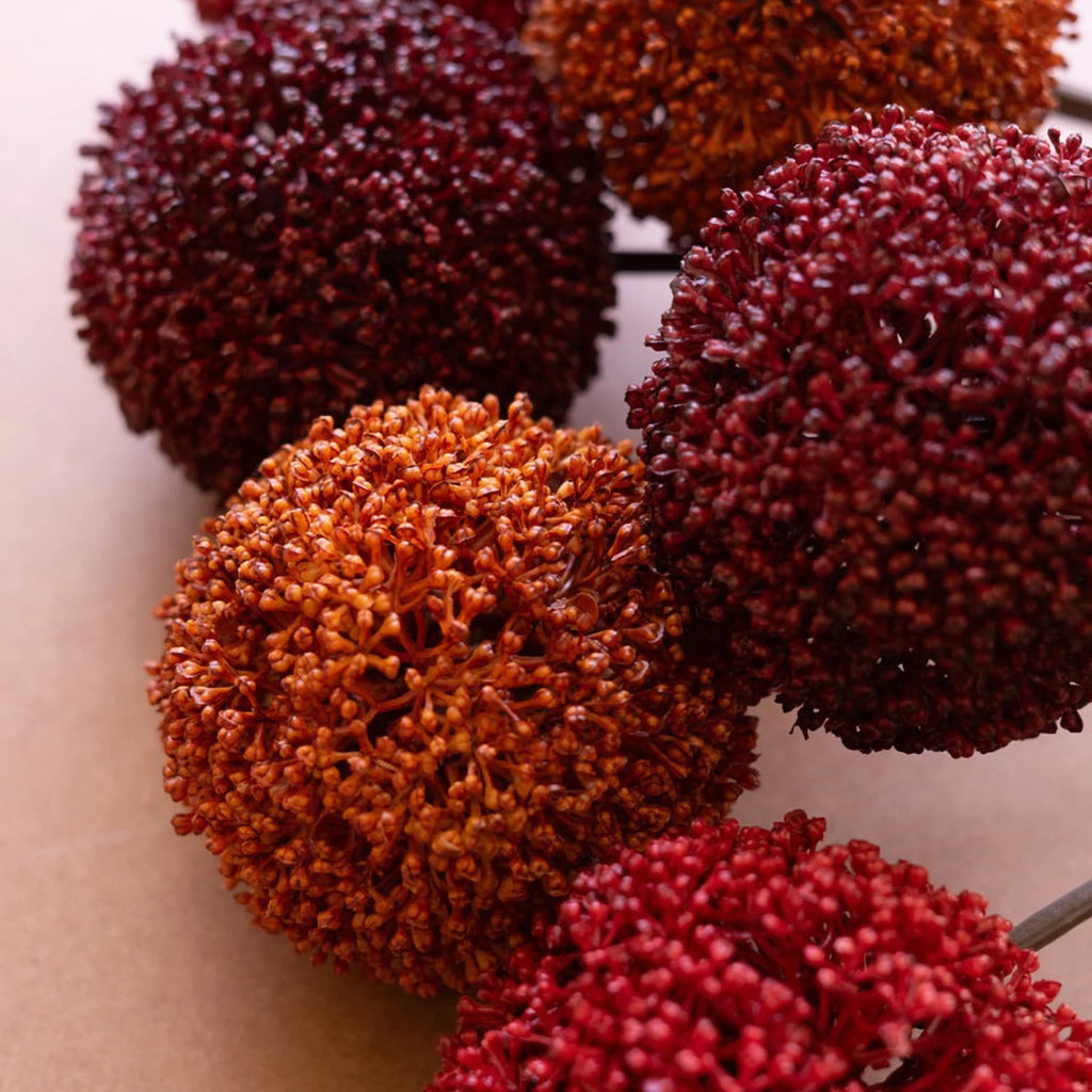 Allium Ball Stem