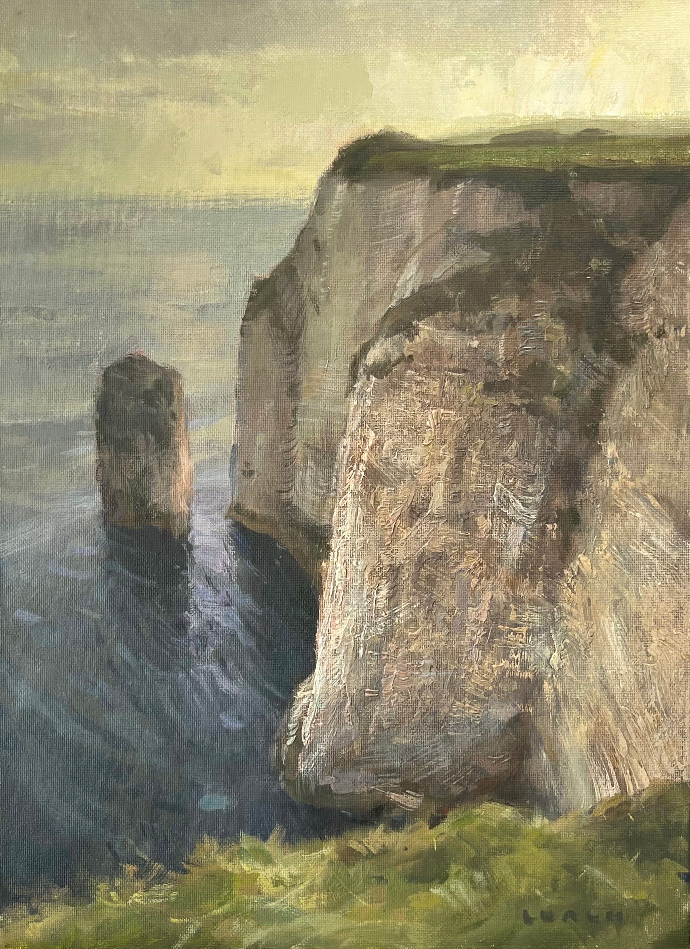 Cliffs on the Jurassic Coast