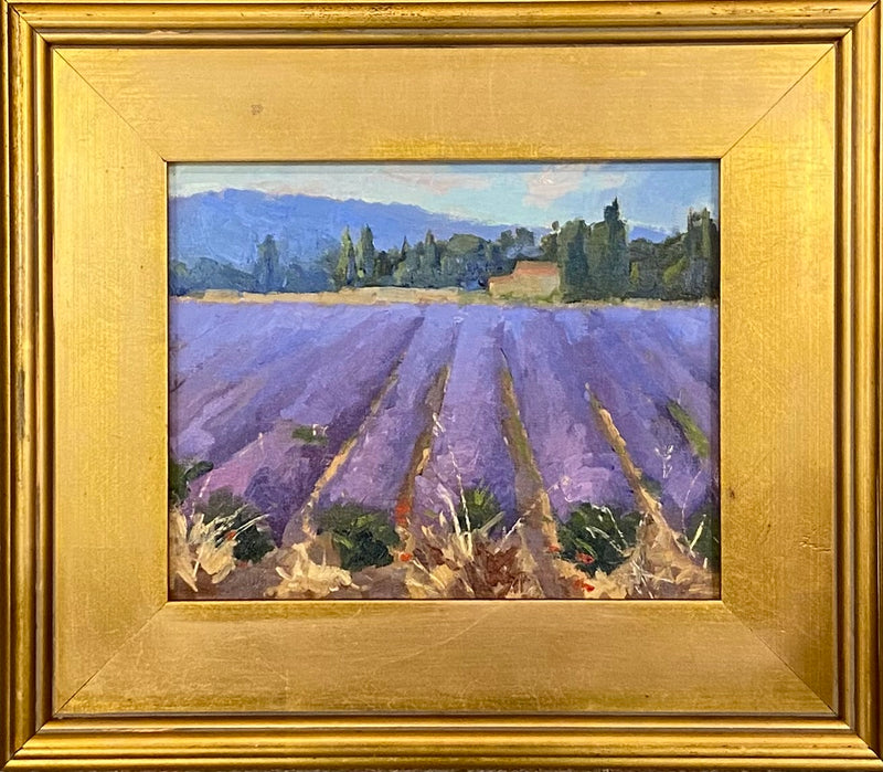 Lavender Fields