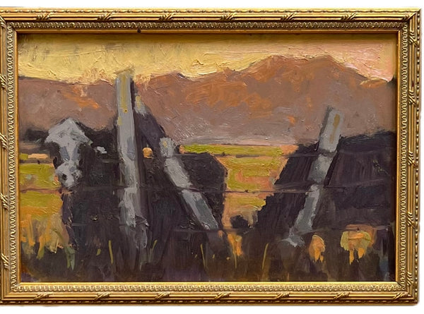 Cows of Mystery