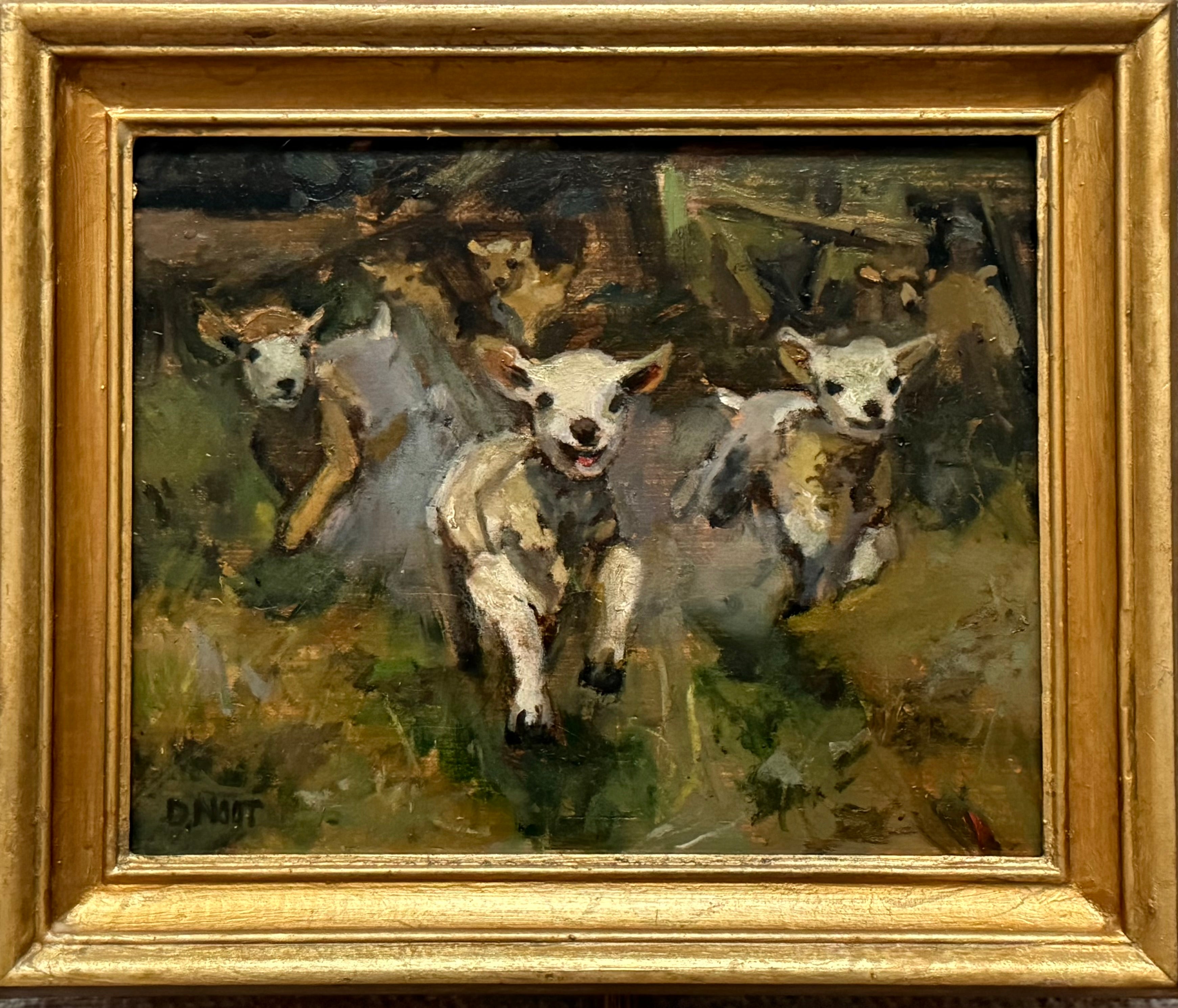 Lambs on The Lamb