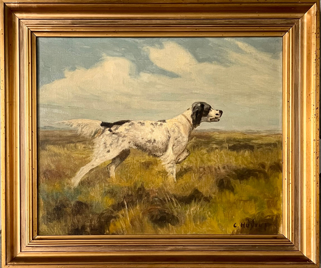 English Setter
