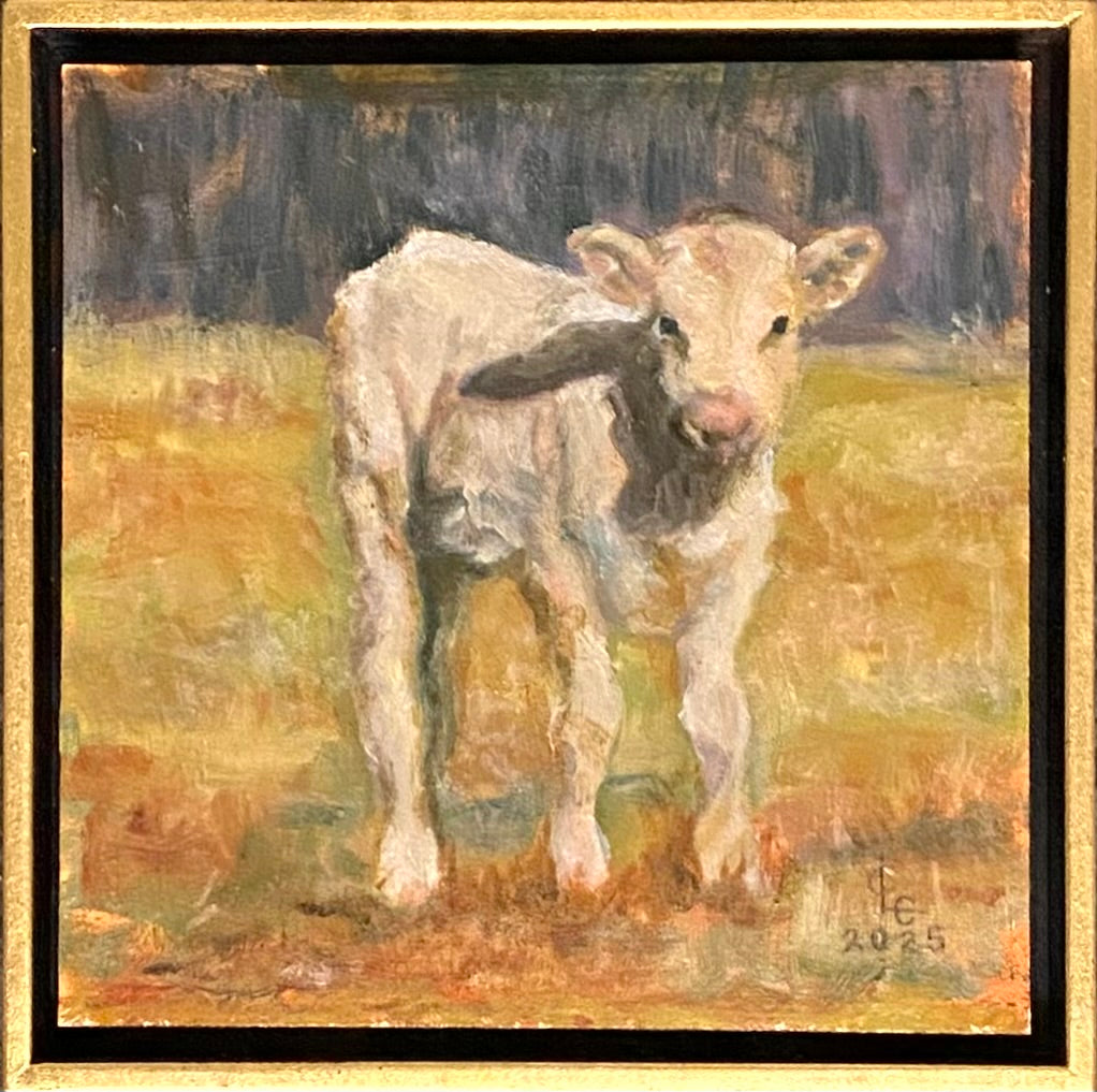 Baby Calf I