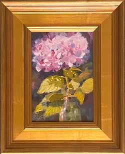 Haloed Hydrangeas