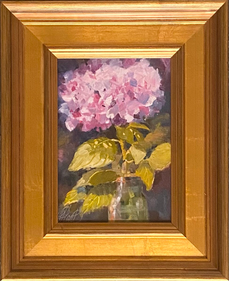 Haloed Hydrangeas