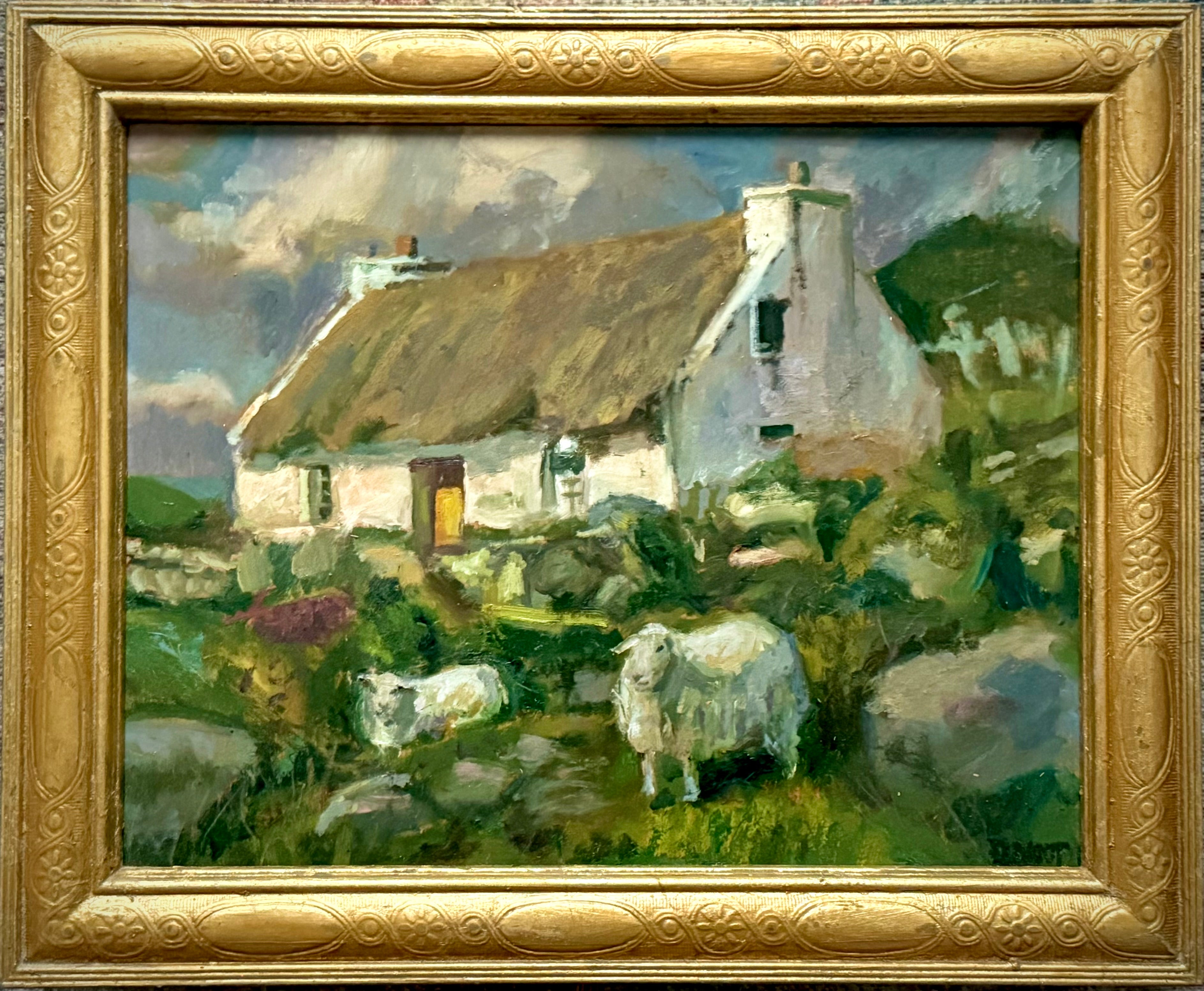 Sheep by Yellow Door Cottage