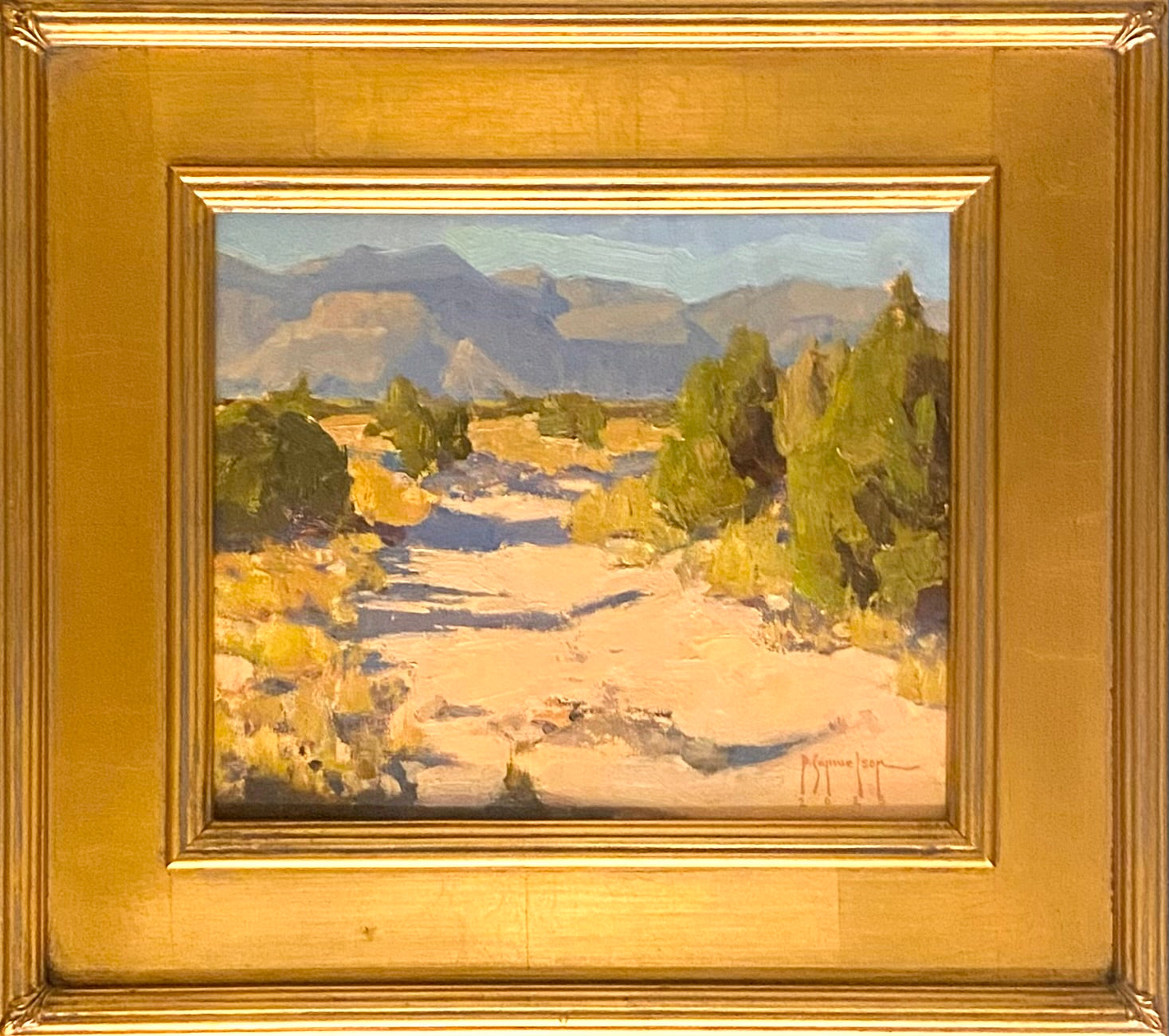 Woodhill Evening Trails