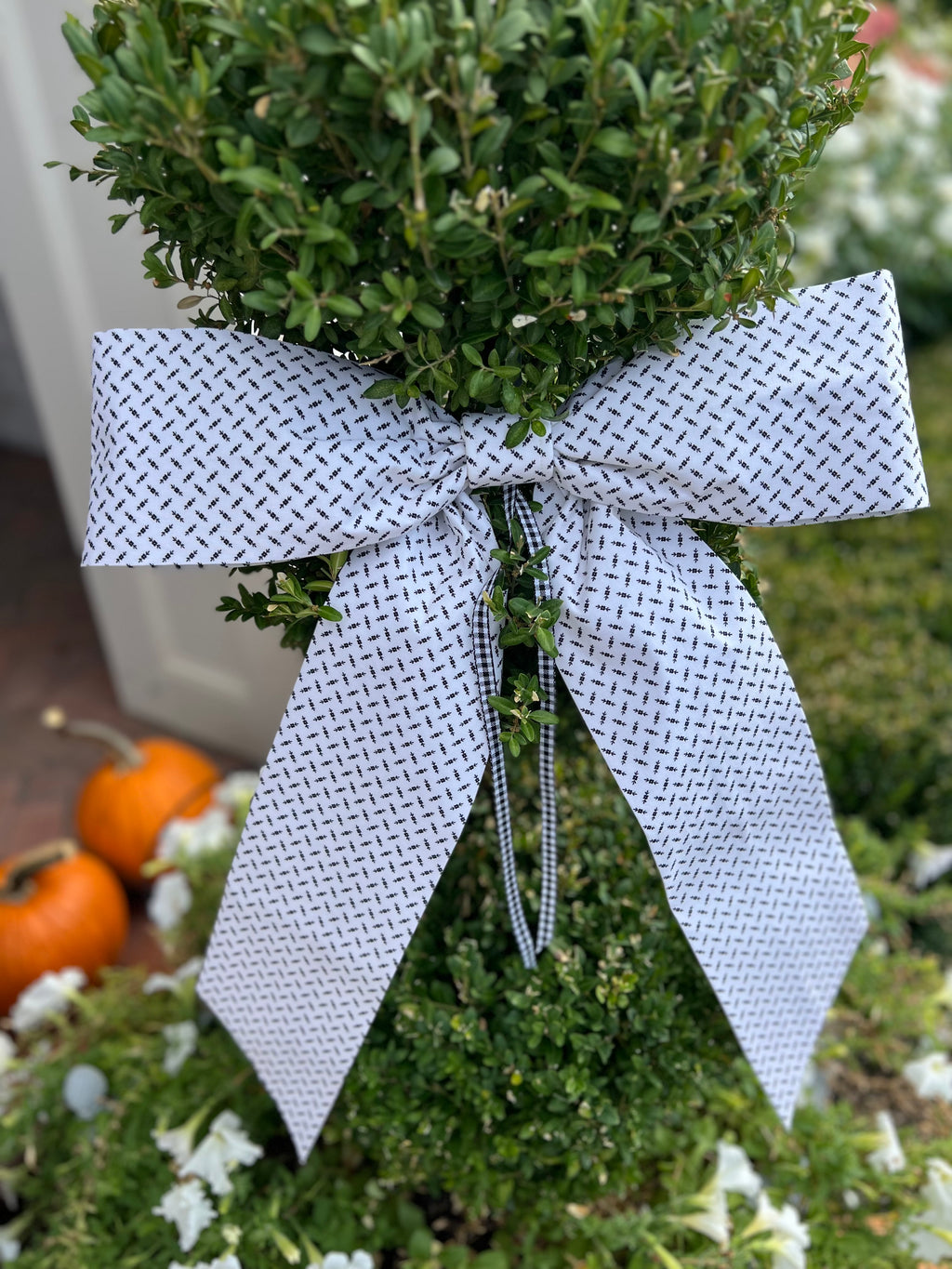 White & Black Detail Bow