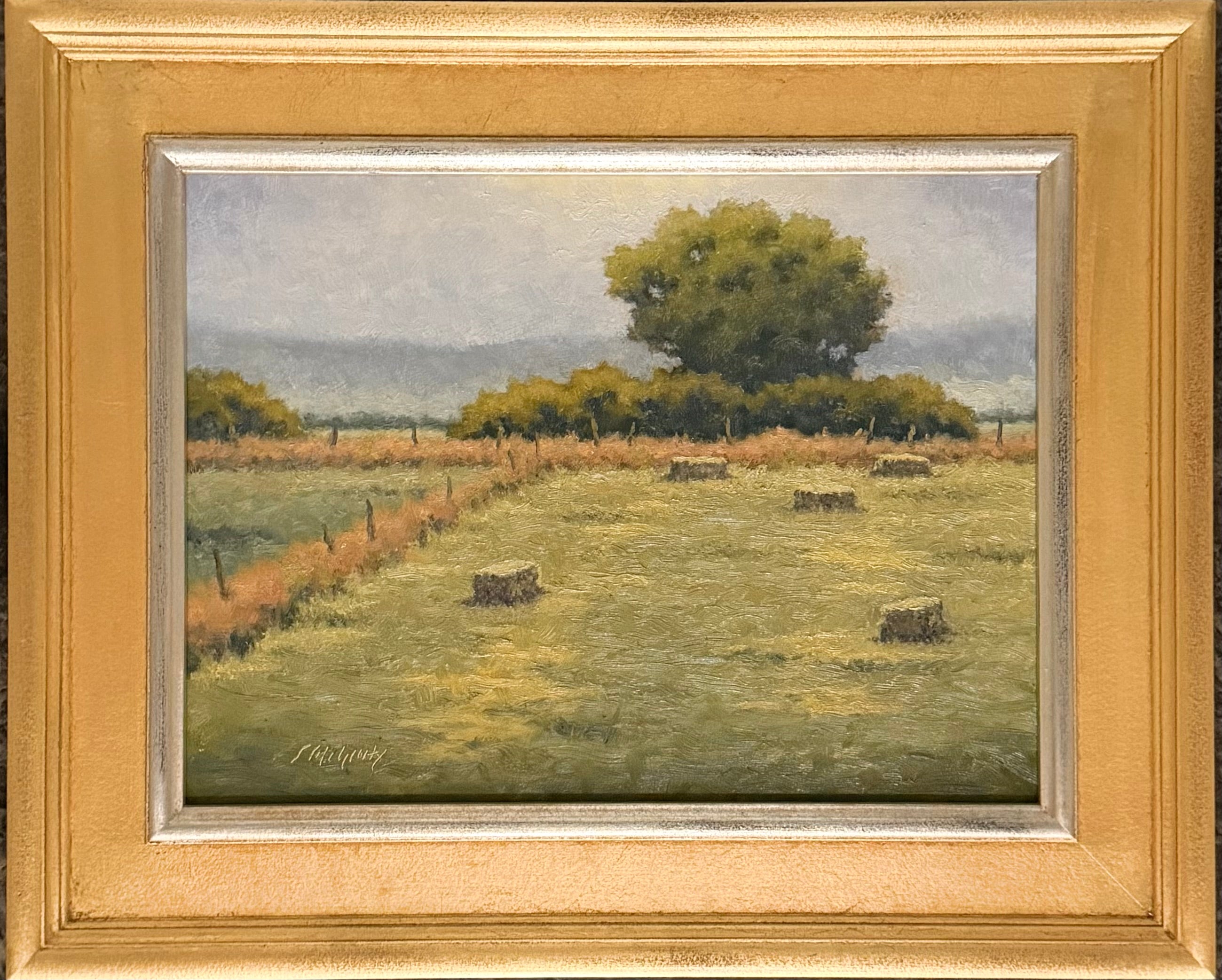 New Bales