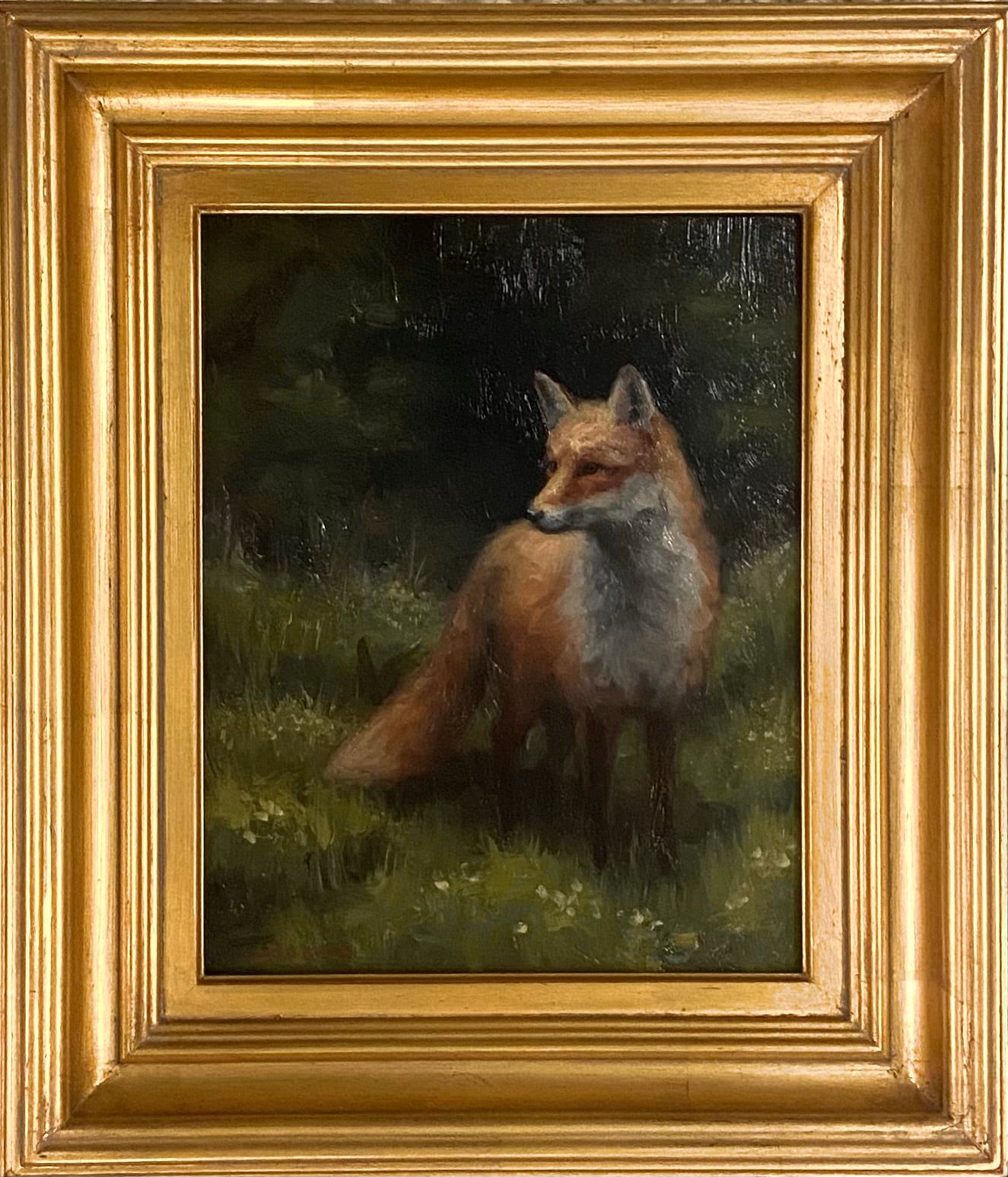 Spring Fox