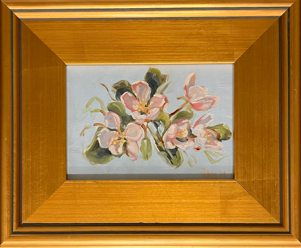 Apple Blossoms