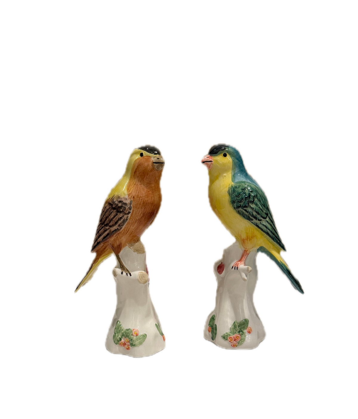 Song Birds