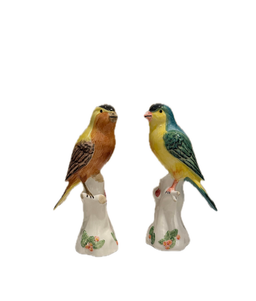 Song Birds