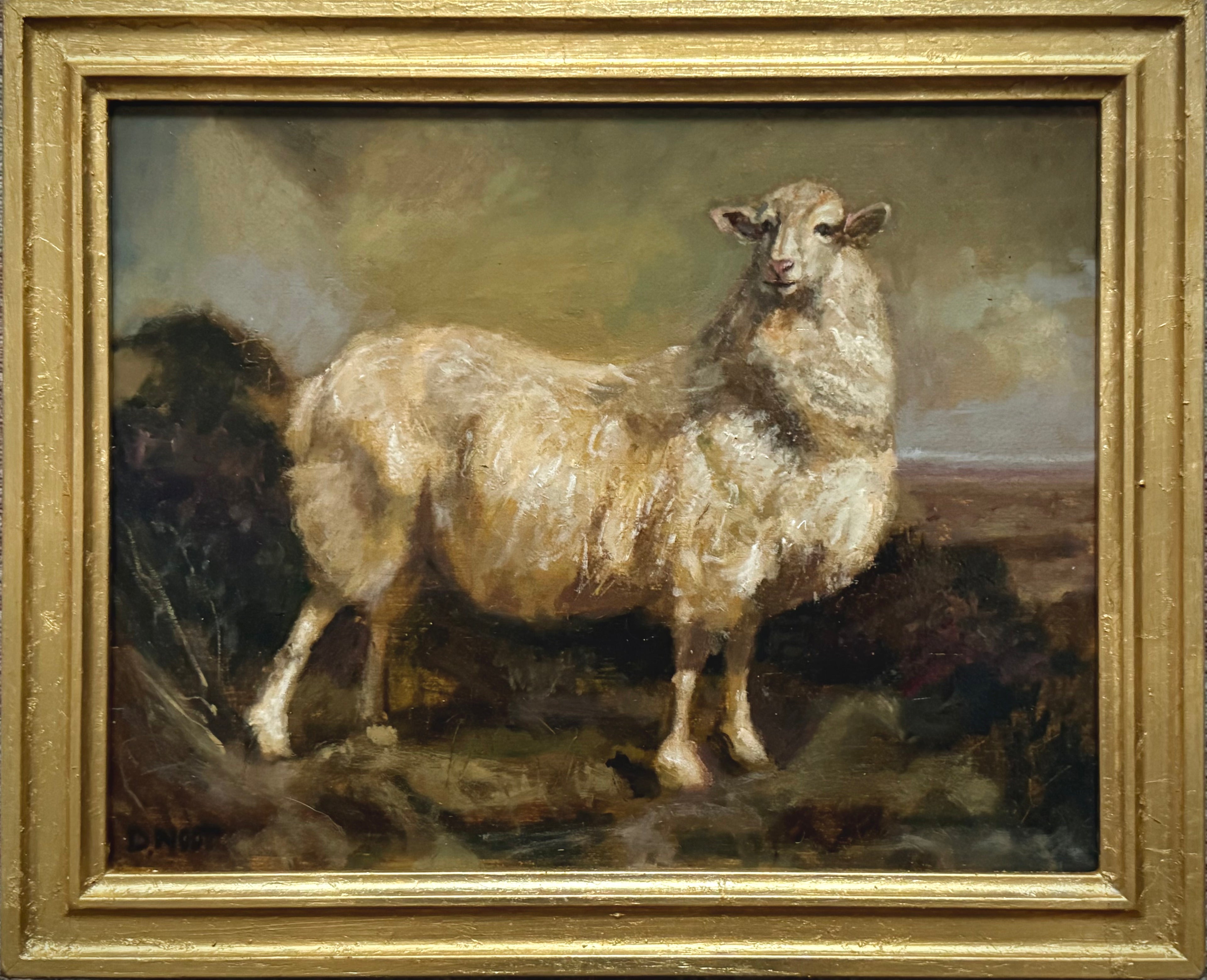 Mysterious Sheep